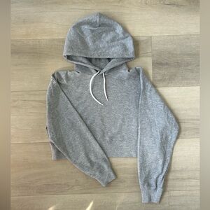 Aritzia Sunday Best Cropped Hoodie